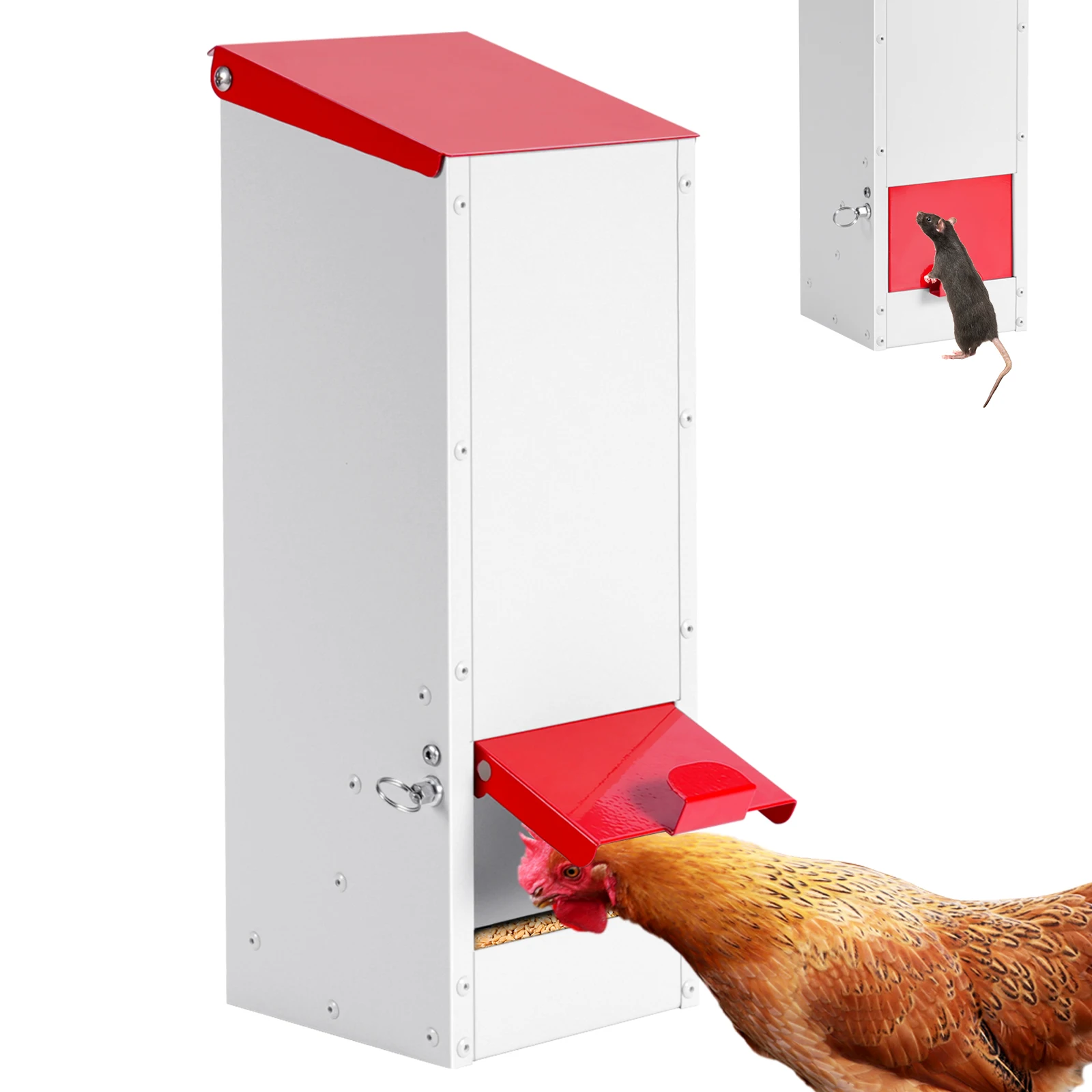 Comedero automático para aves de corral – Dispensador exterior con tapa abatible