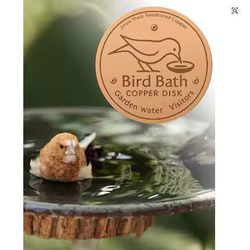 Disco purificador de cobre para baño de aves – Bandeja metálica