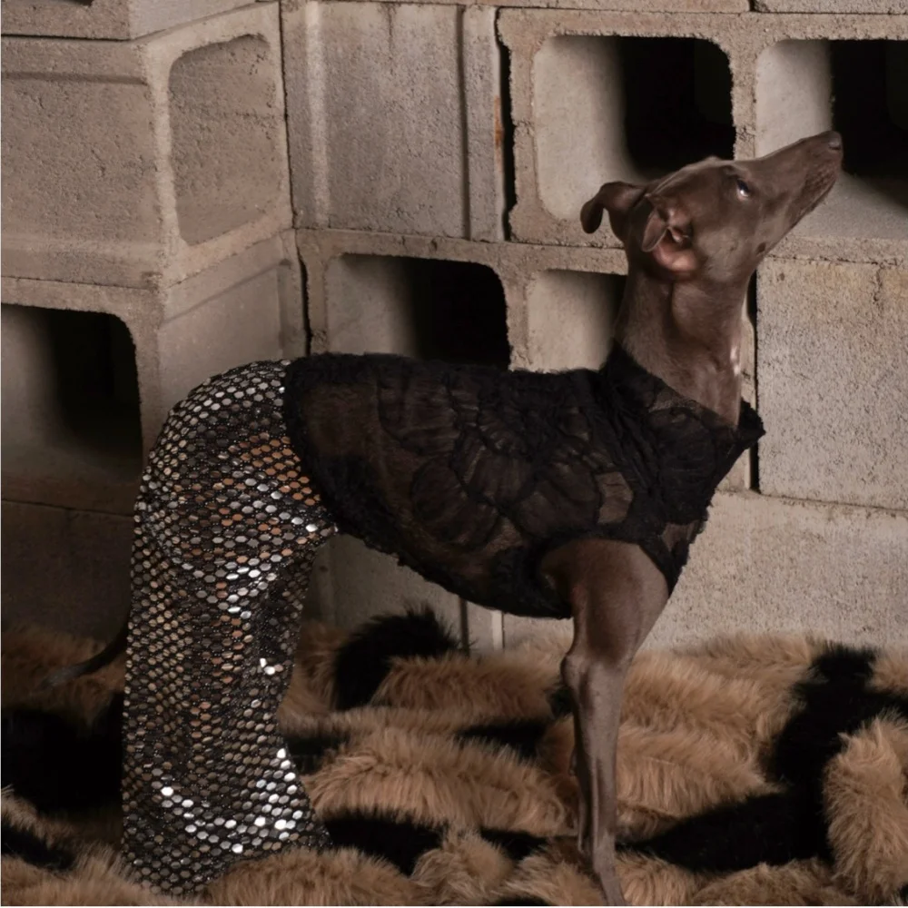 Mono de fiesta para Galgo Italiano y Whippet – Encaje y lentejuelas transpirable - imagen 4