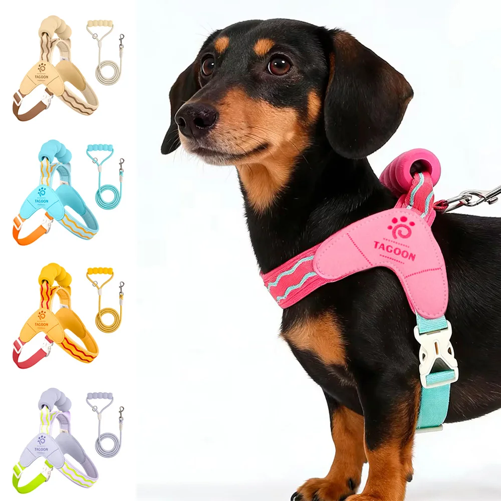 Arnés con asa para perros pequeños – Control Dachshund y Pug - imagen 3