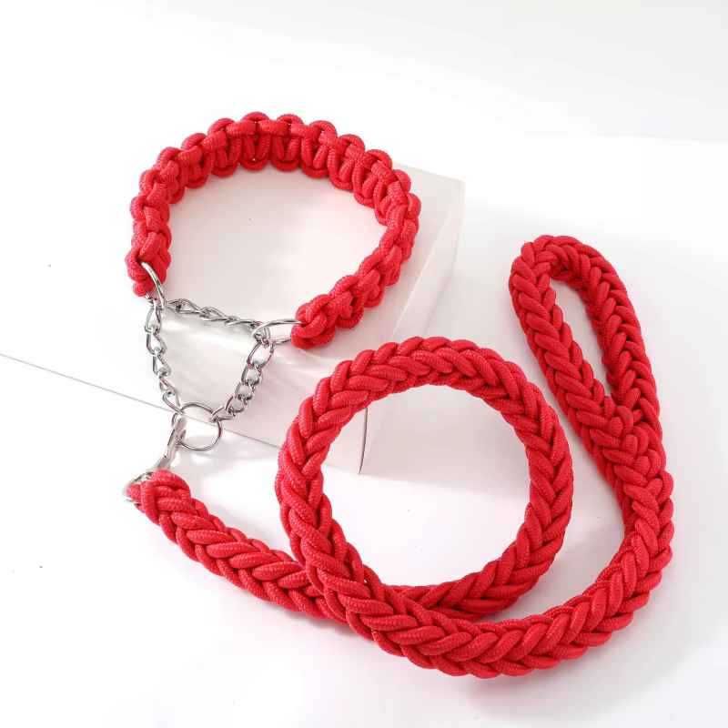 Accesorios para pasear perro