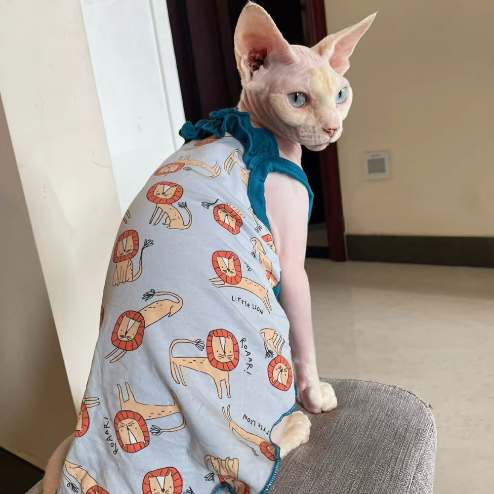 Gato Sphynx luciendo el vestido de verano