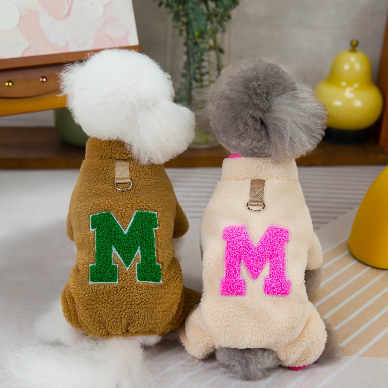 Diseño integral para perro