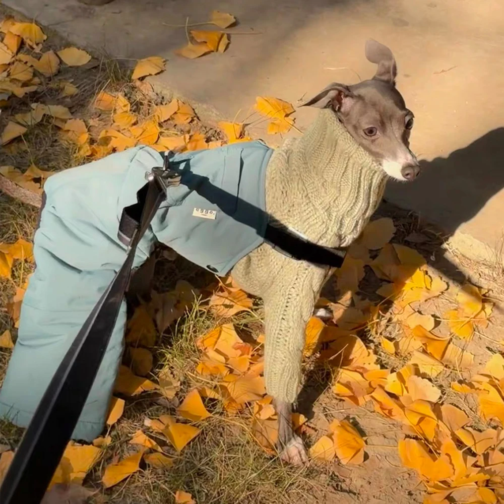 Suéter cuello alto blanco para perros Whippet, Greyhound y Bedlington - imagen 4