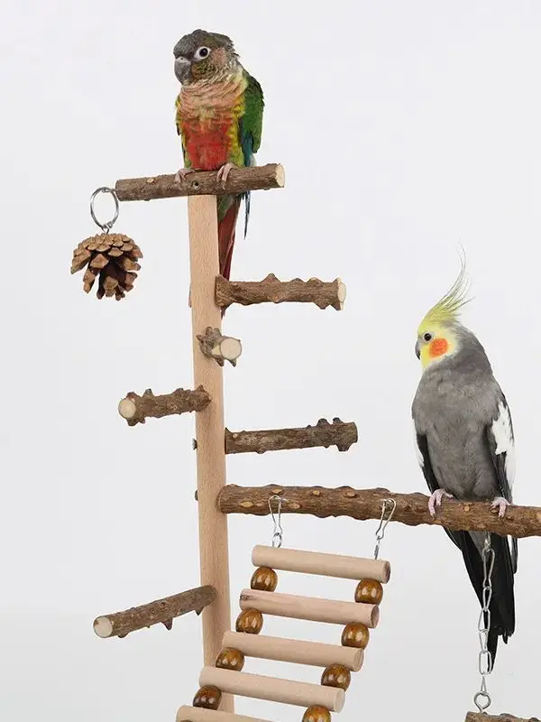 Loro interactuando con la red de escalada