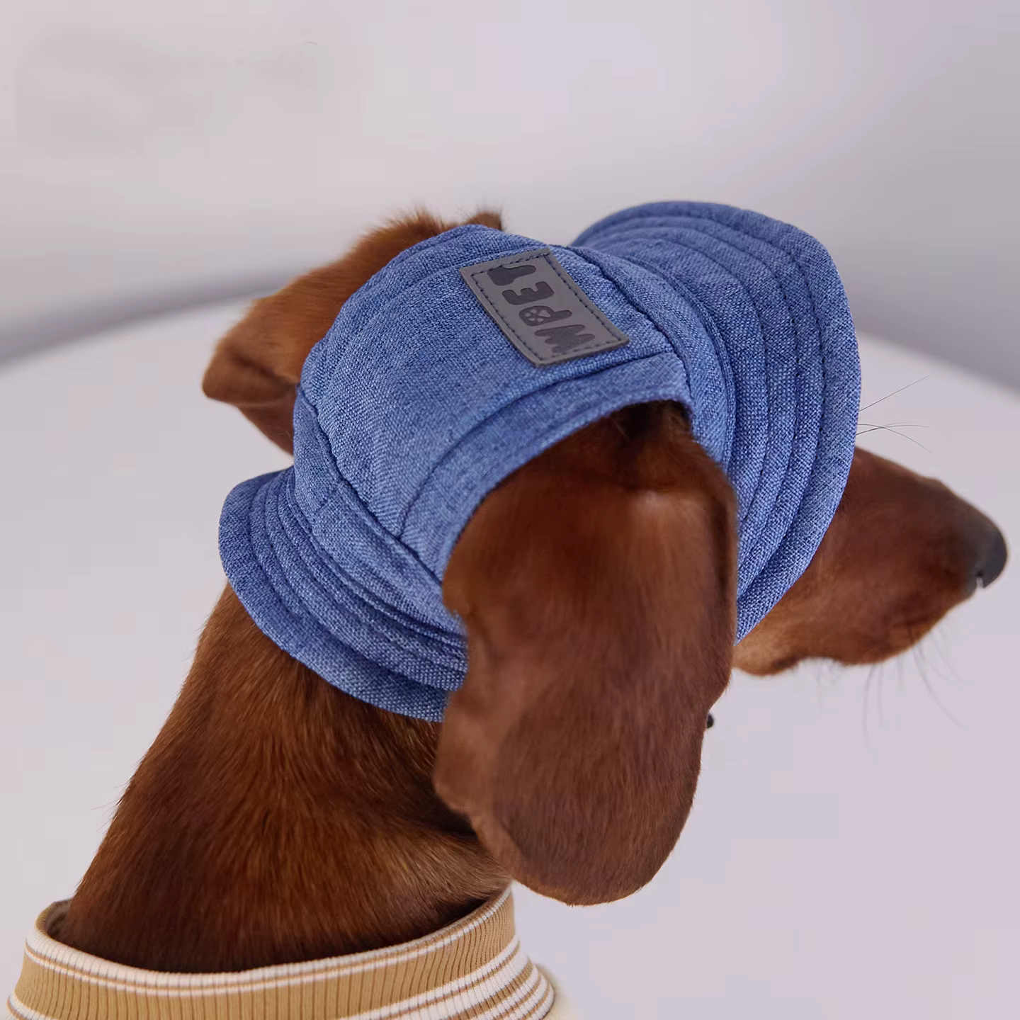 Gorra para perro con visera y protección solar en paseos - imagen 3