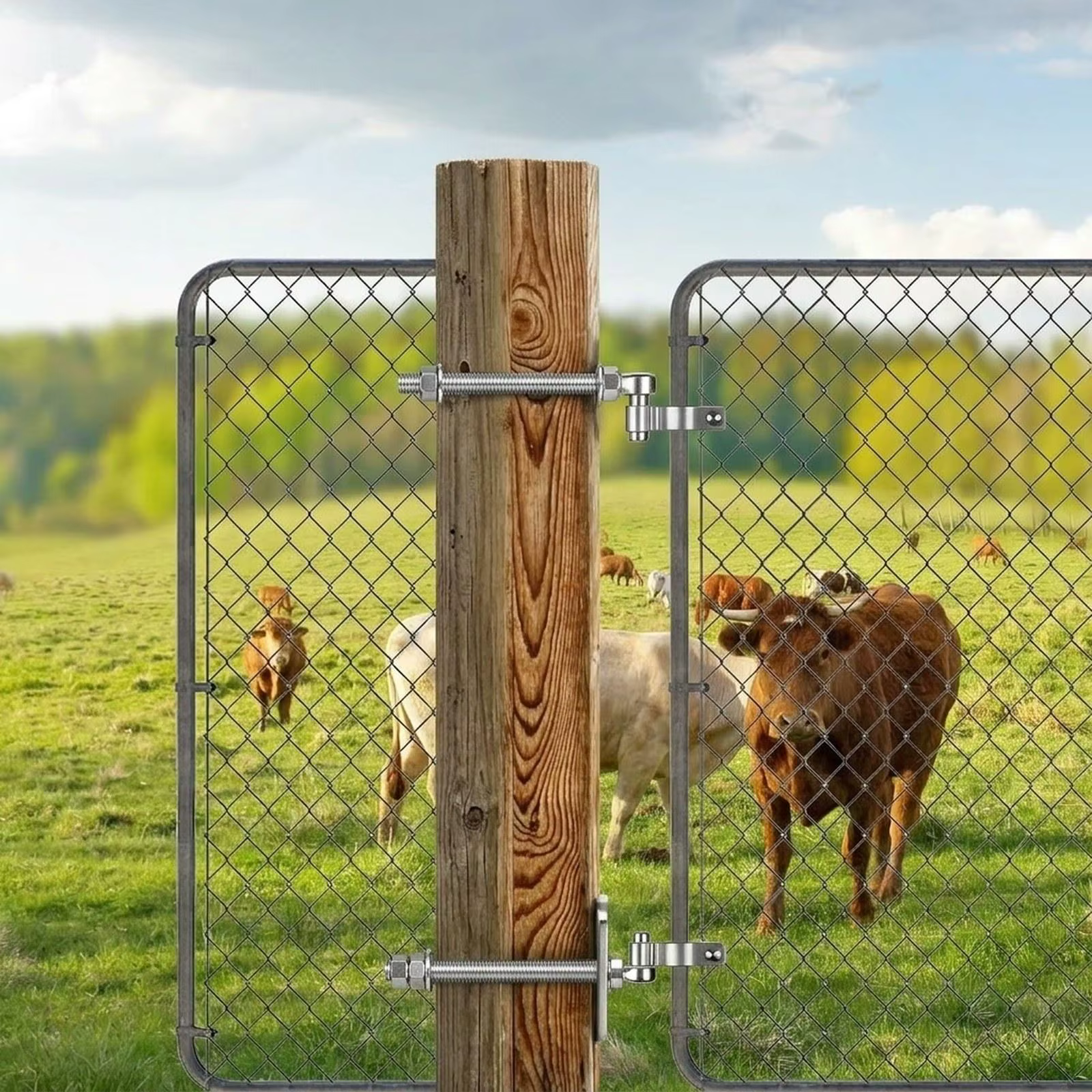 Bisagra de acero inoxidable para puerta y vallas de gatos y perros - imagen 2