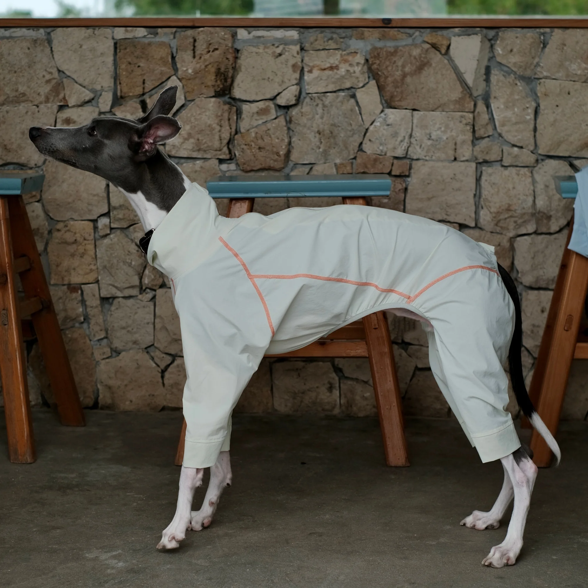 Mono ligero para perros con UPF100+ y mosquitero Galgo Whippet - imagen 4