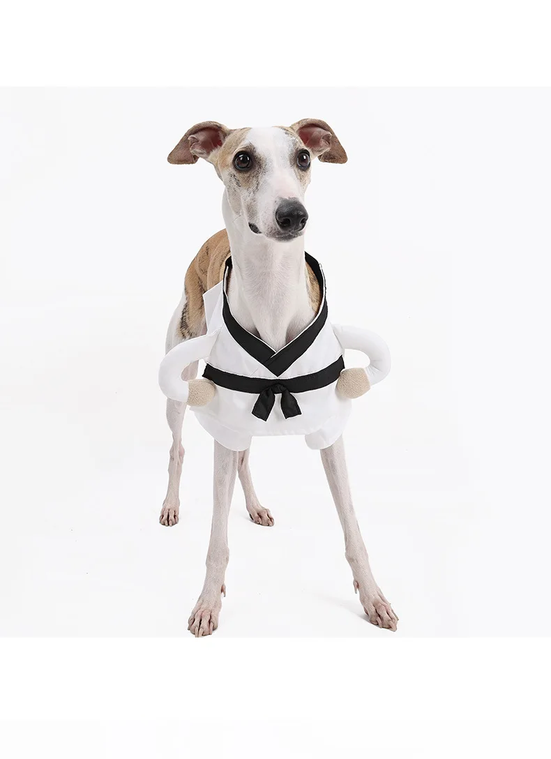 Ropa divertida para perros