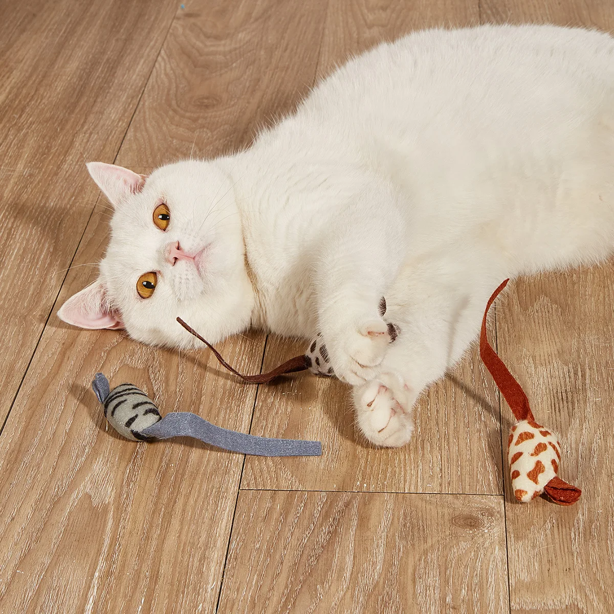 Juguetes para gatos variados