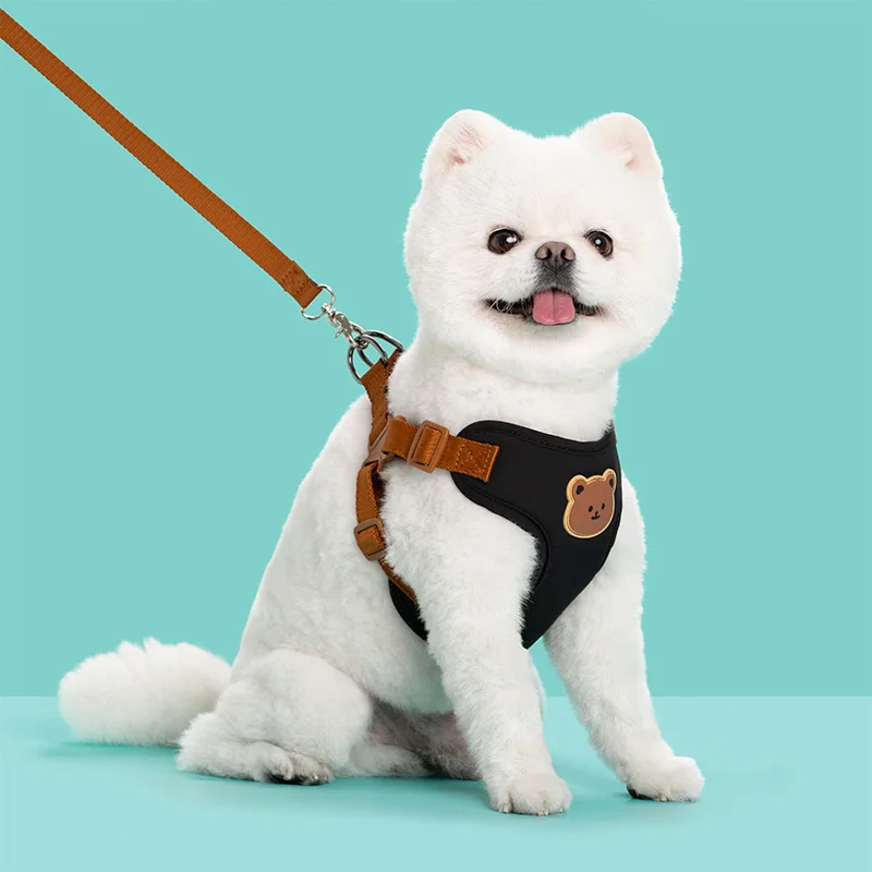 Perro usando el arnés en paseo