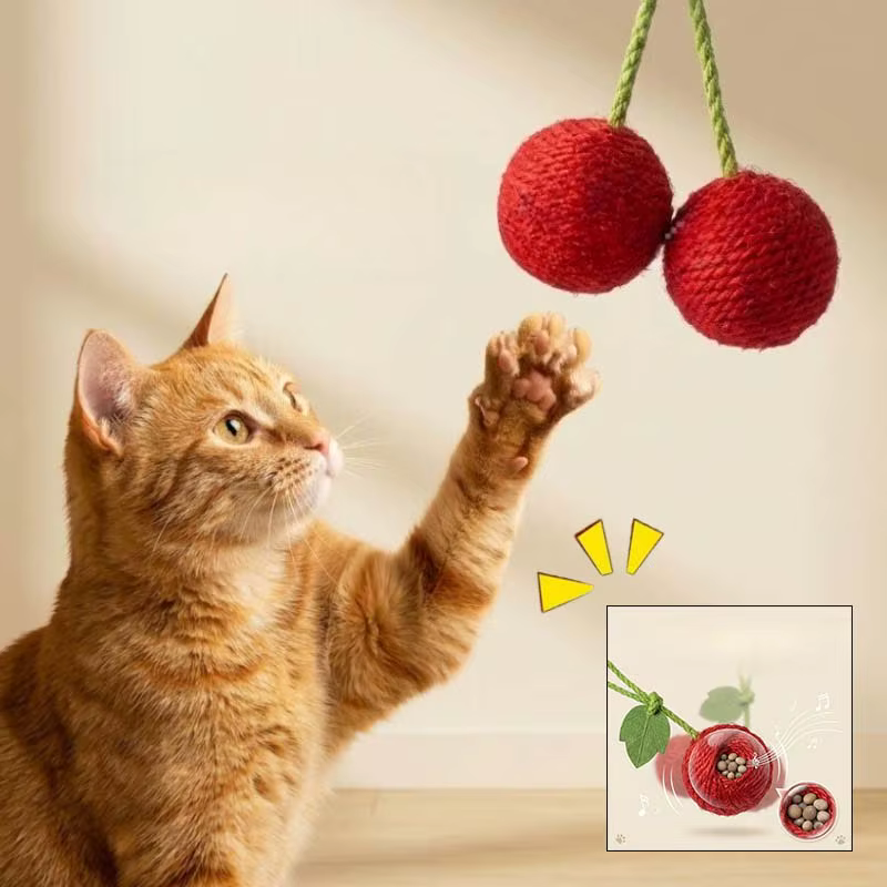 Pelota chirriante para gatos – Resistente a mordiscos y limpia dientes