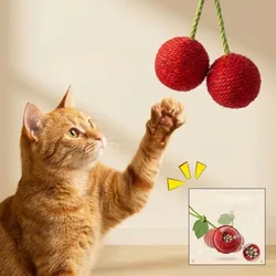 Pelota chirriante para gatos – Resistente a mordiscos y limpia dientes