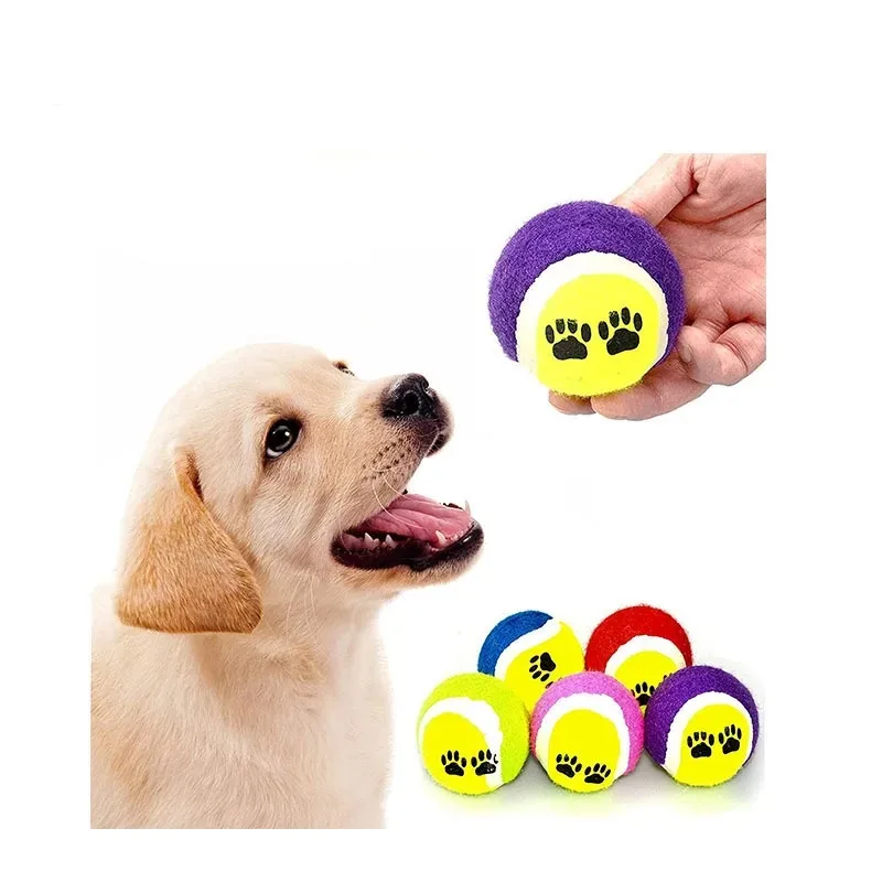 Perrito jugando con la pelota en el jardín