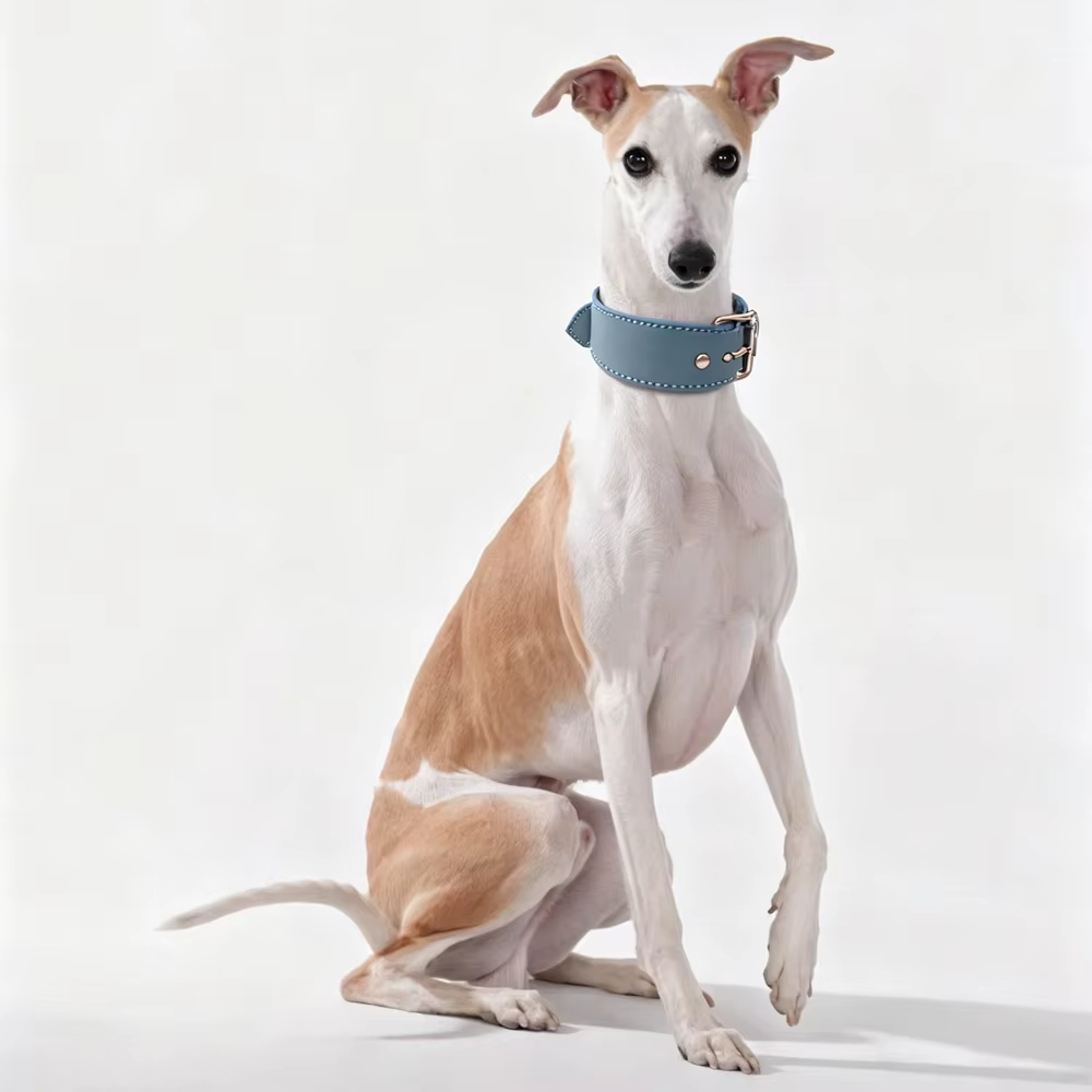Collar de cuero vacuno ajustable multicolor para Galgos y Whippets - imagen 3