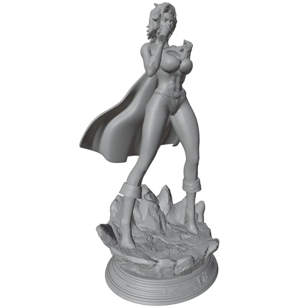 Detalles de la figura de resina 1/24