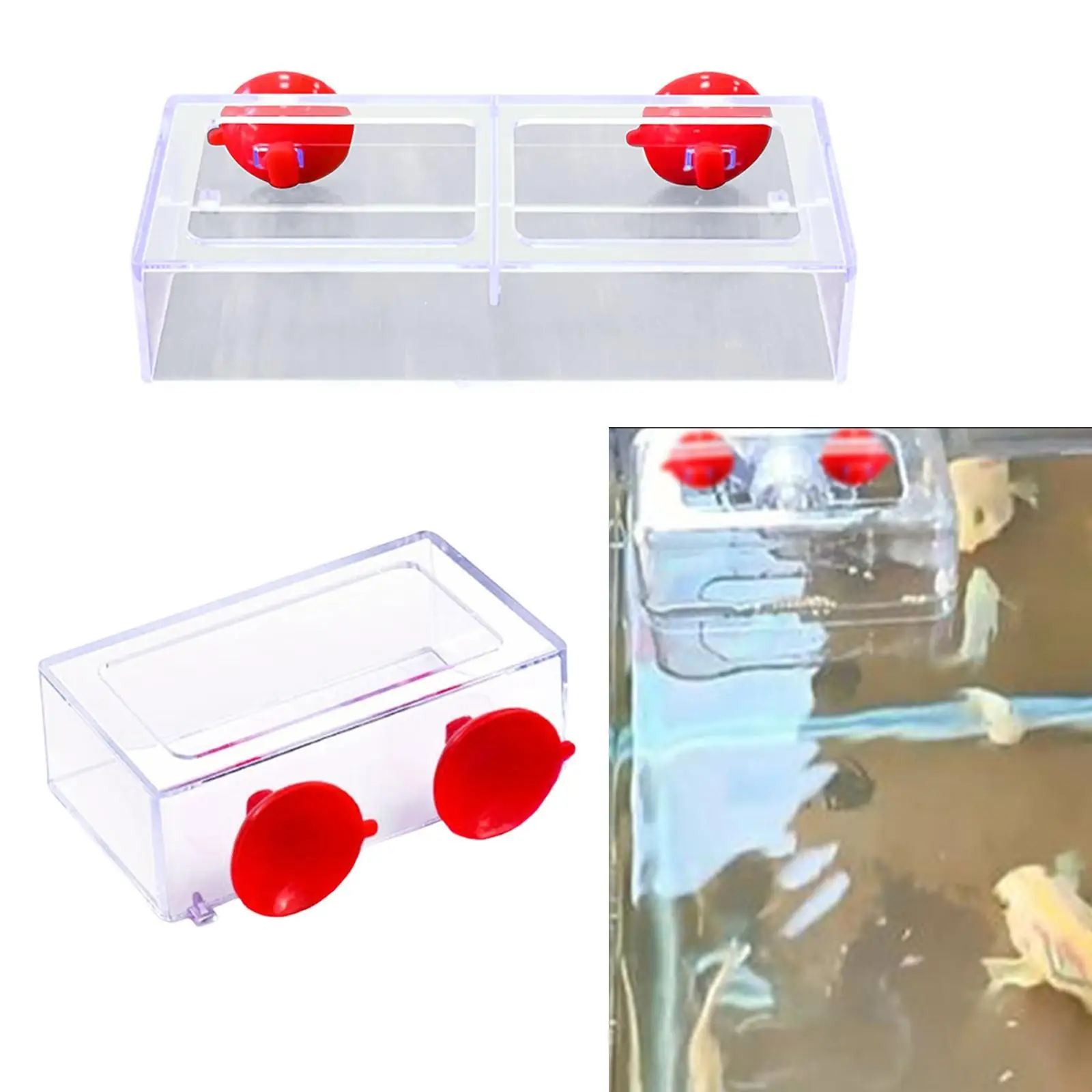 Comedero flotante rectangular de acrílico transparente para peces y tortugas