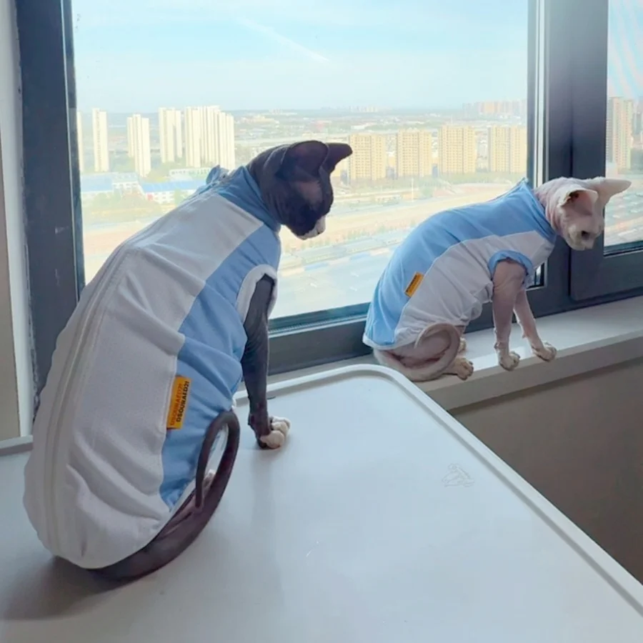 Chaleco transpirable UV de malla azul para Sphynx y perros mini - imagen 5