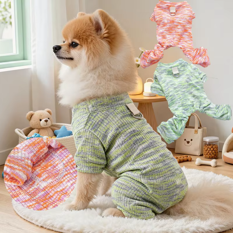 Perro pequeño vistiendo el mono verde