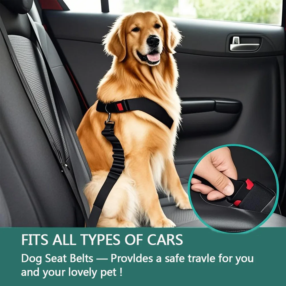 Cinturón de seguridad para perros en el auto