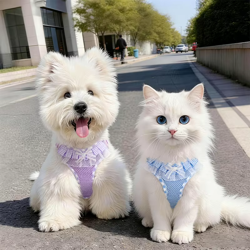 Arnés y correa de encaje para perros y gatos – Chaleco transpirable - imagen 2