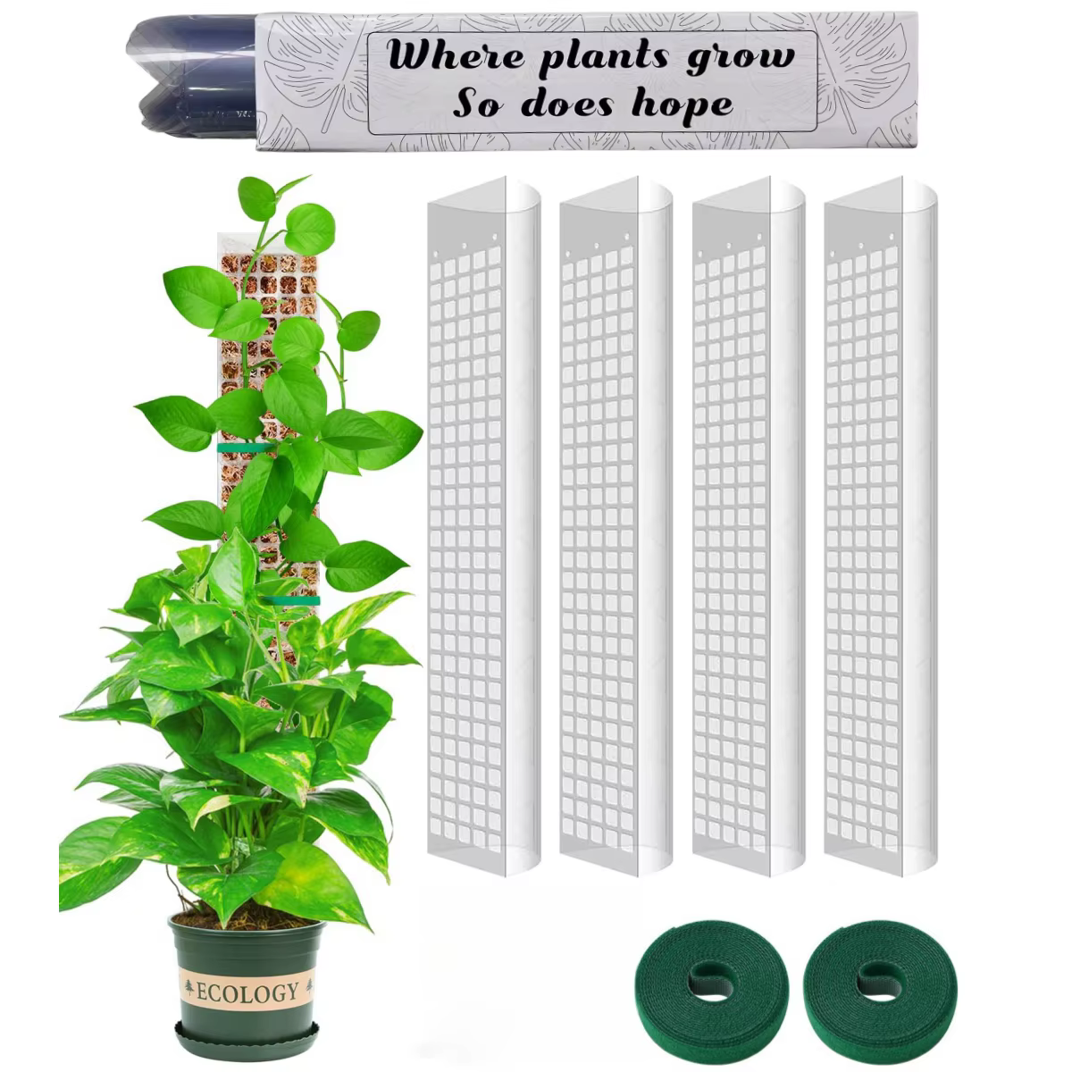 Soporte para plantas trepadoras de interior: varilla de musgo - imagen 4