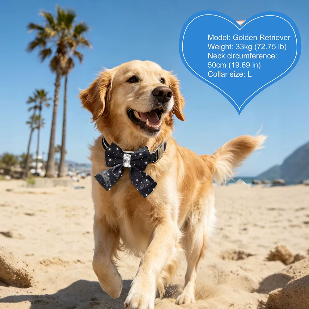 Collar de Mezclilla Personalizado con Lazo Brillante para Perro - imagen 5