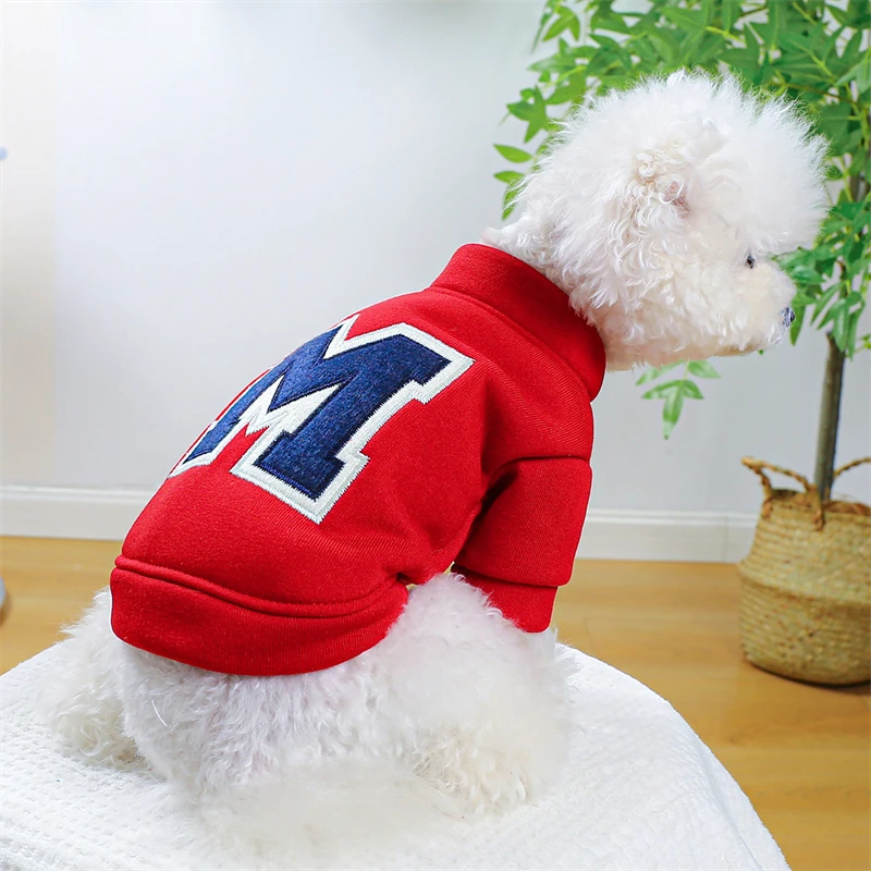 Perro jugando con su nuevo traje