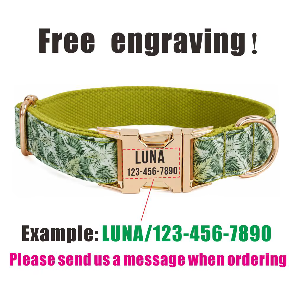 Collar personalizado para perro con hojas naturales y nombre - imagen 3