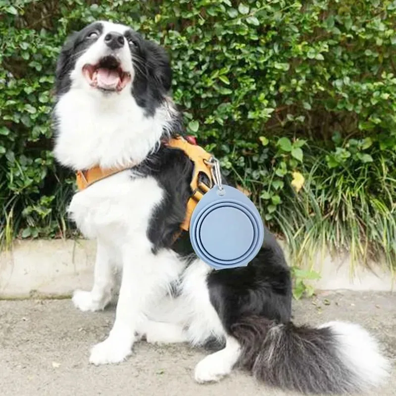 Tazón plegable silicona para perro – Bowls compactos exterior - imagen 5