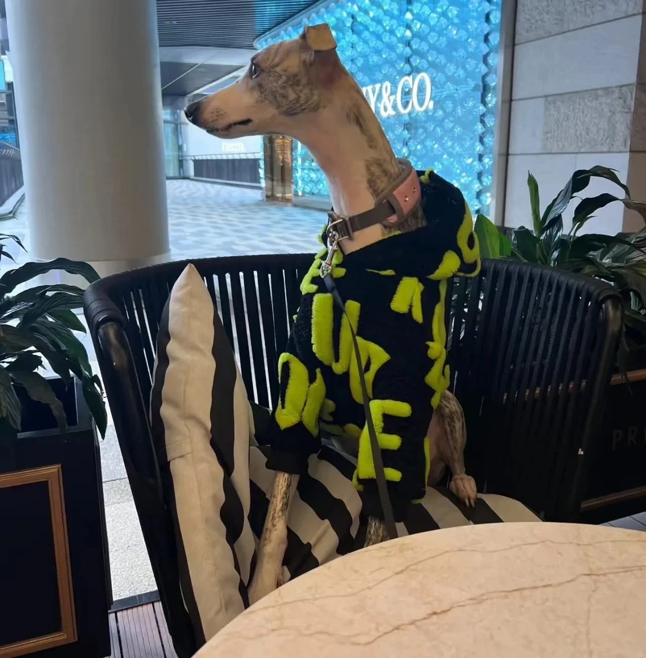 Modelo en uso con la chaqueta