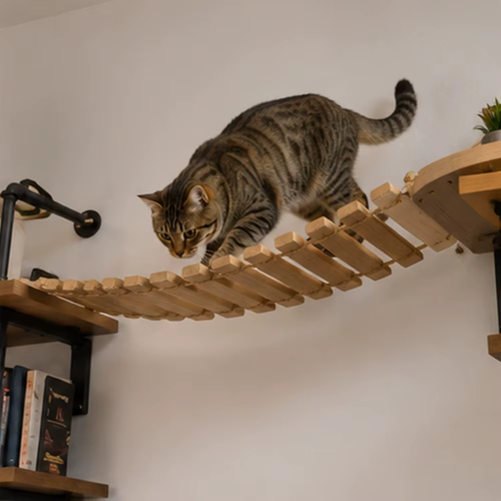 Rascador de Pared para Gatos – Escalador de Cuerda y Puente con Sisal - imagen 2