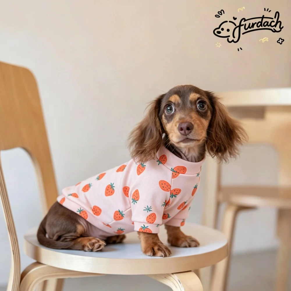 Sudadera de algodón suave manga larga para perros salchicha - imagen 2