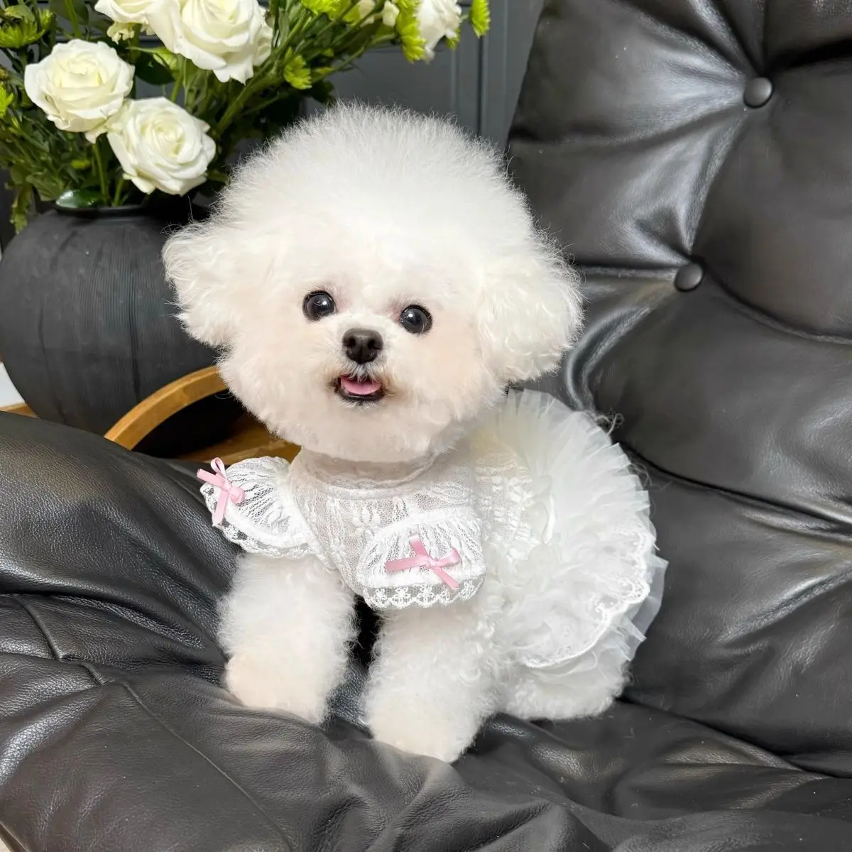 Vestido princesa con encaje para perros y gatos pequeños