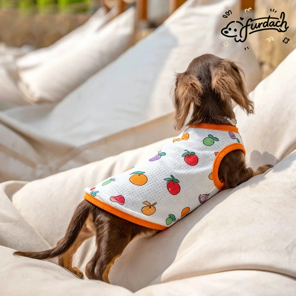 Camiseta sin mangas de verano para perros salchicha, estampado frutas - imagen 3