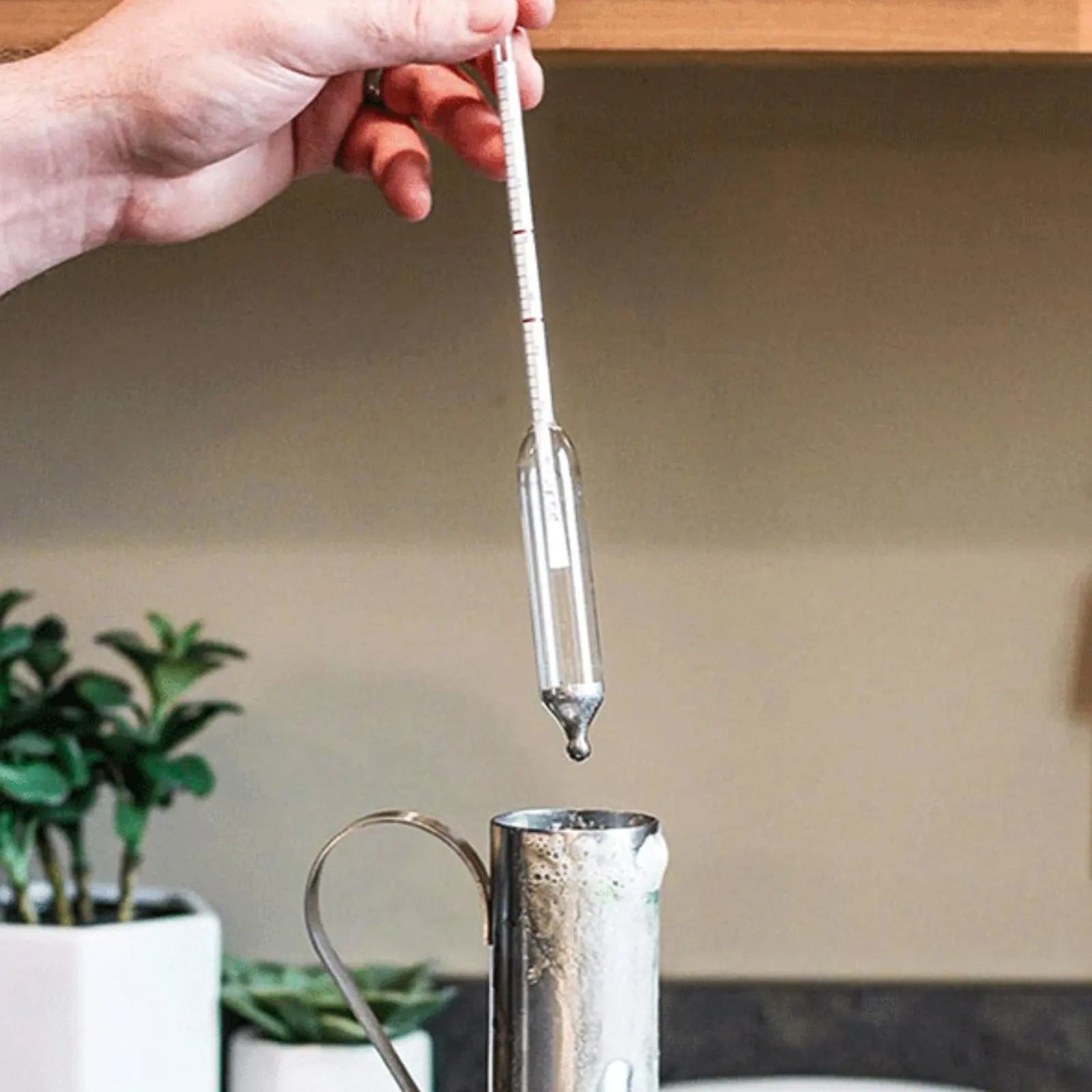 Kit hidrómetro para jarabe de arce de acero inoxidable, alta precisión - imagen 2