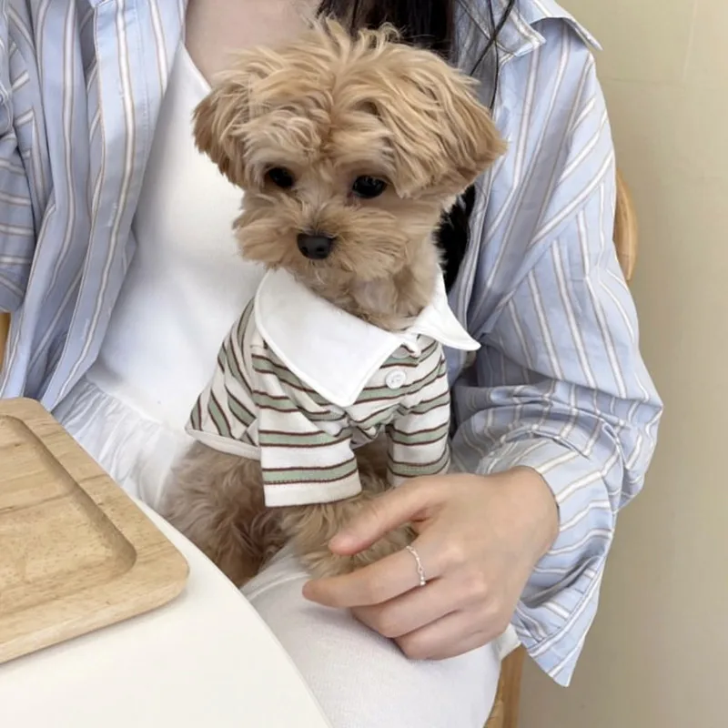 Camiseta polo de rayas para perro: refrescante de verano, Chihuahua - imagen 4