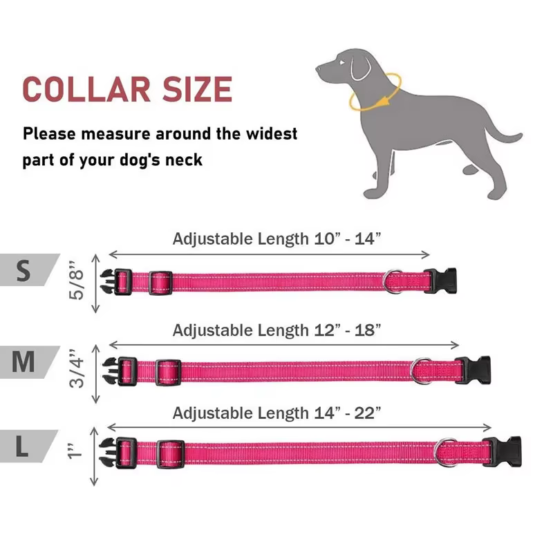 Collar reflectante para perro con hebilla ajustable y nailon