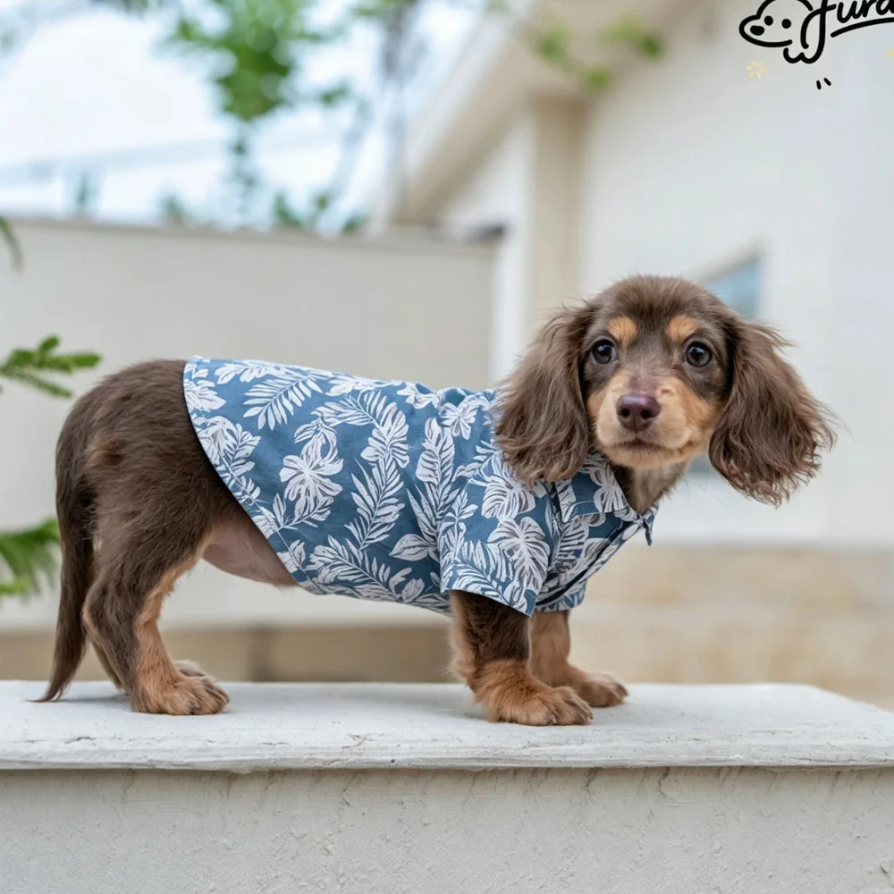 Ropa para perros Dachshund: camisa algodón vacacional con hojas - imagen 3
