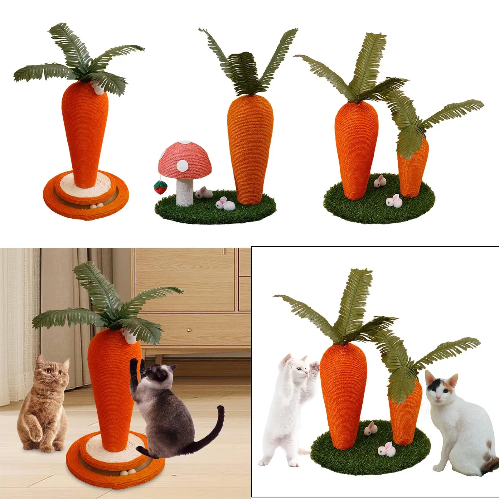 Accesorios del rascador