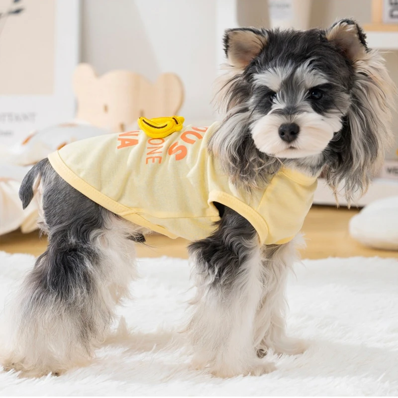 Camiseta verano perro French Bulldog – Estampado de frutas, algodón puro - imagen 3