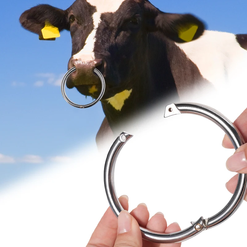 Anillo nasal de acero inoxidable para ganado, abrazadera tracción