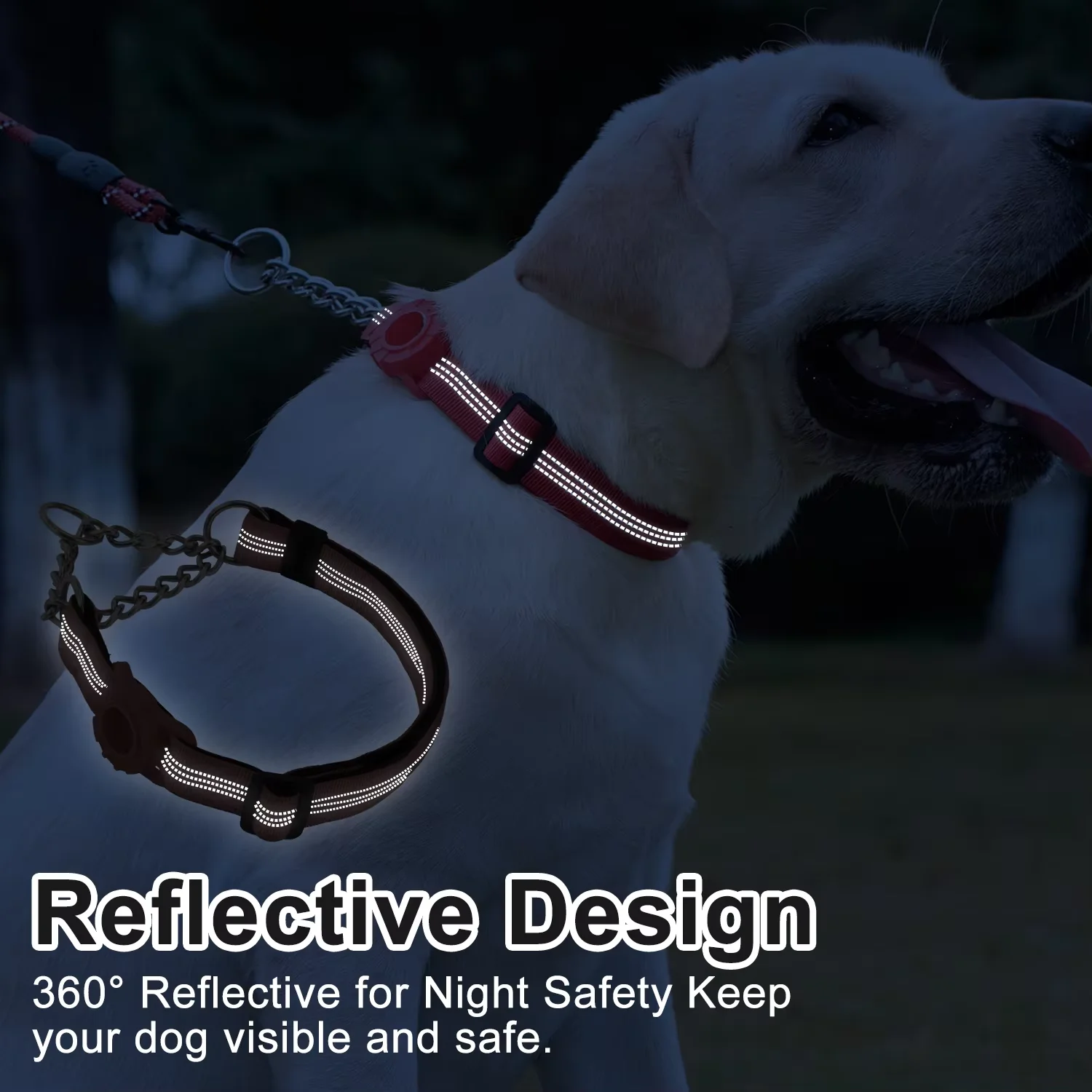 Collar perro con soporte AirTag antirroces acolchado y reflectante - imagen 3