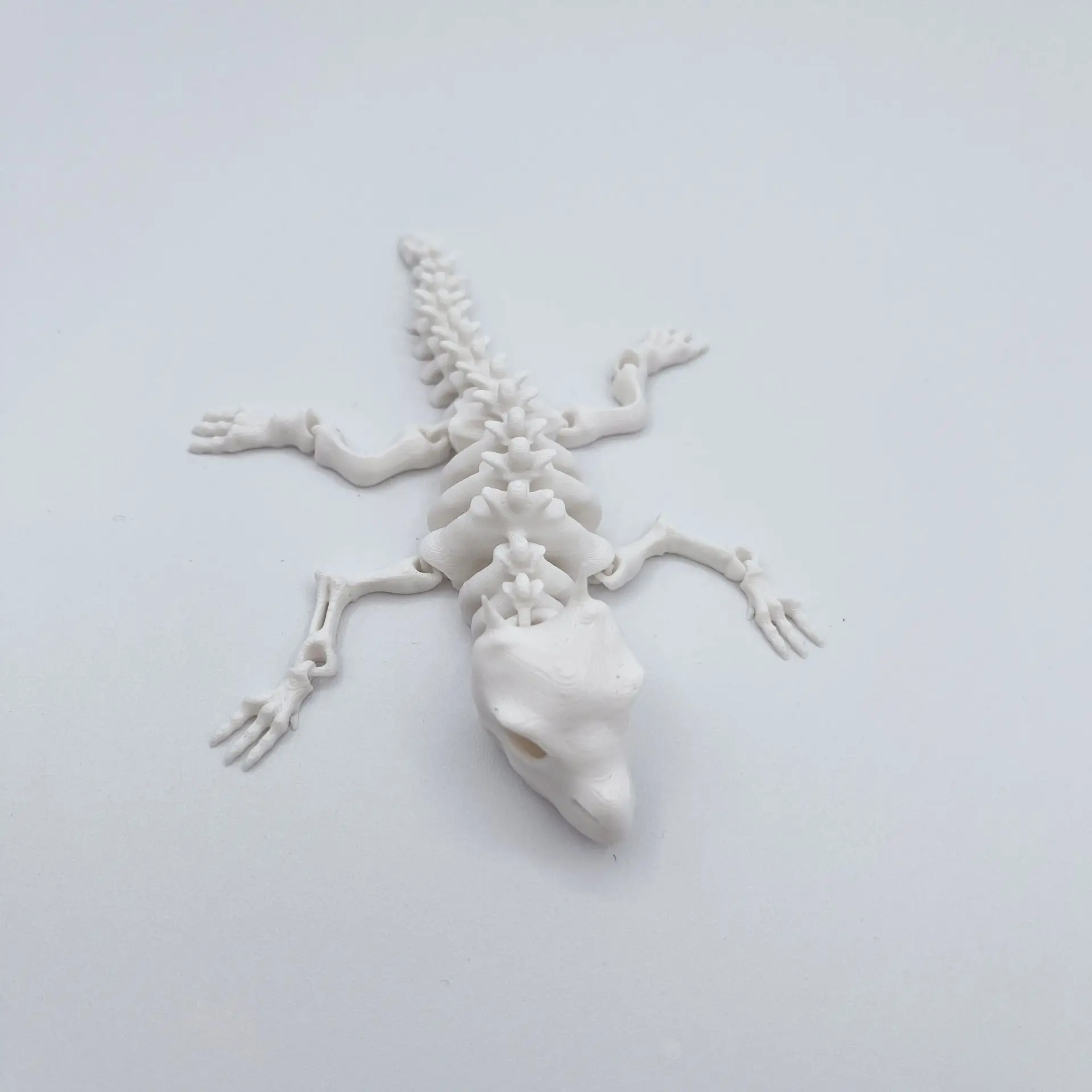 Figura de lagarto esqueleto – detalle frontal
