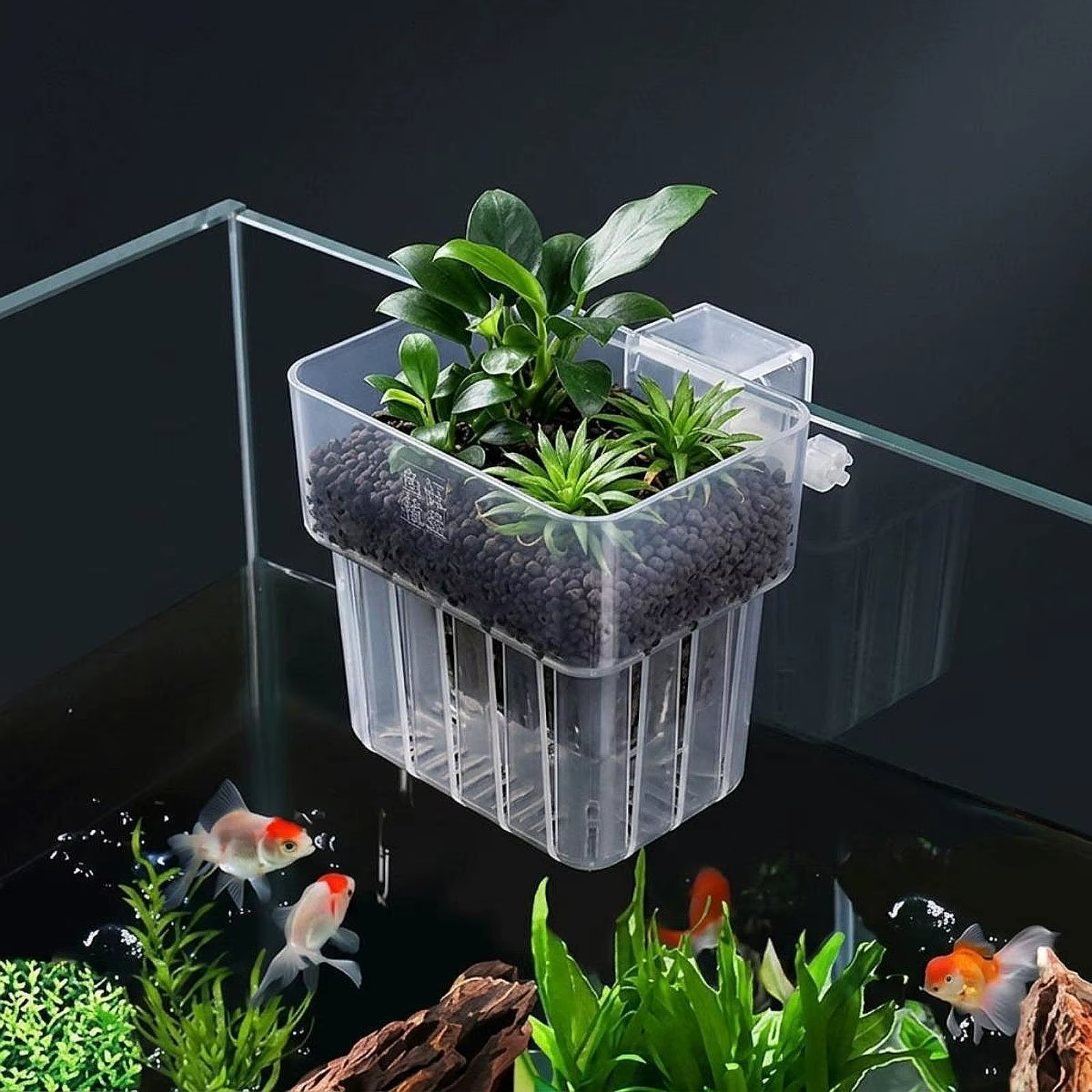 Soporte para plantas de acuario con vasos transparentes seguros - imagen 4