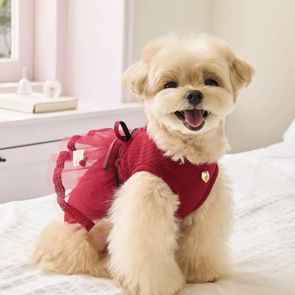 Falda de princesa para perros pequeños en uso