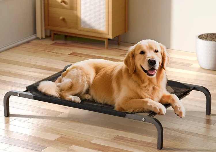 Cama para perros lista para camping