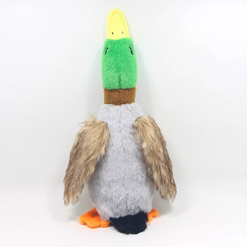 Perro jugueteando con el pato en césped