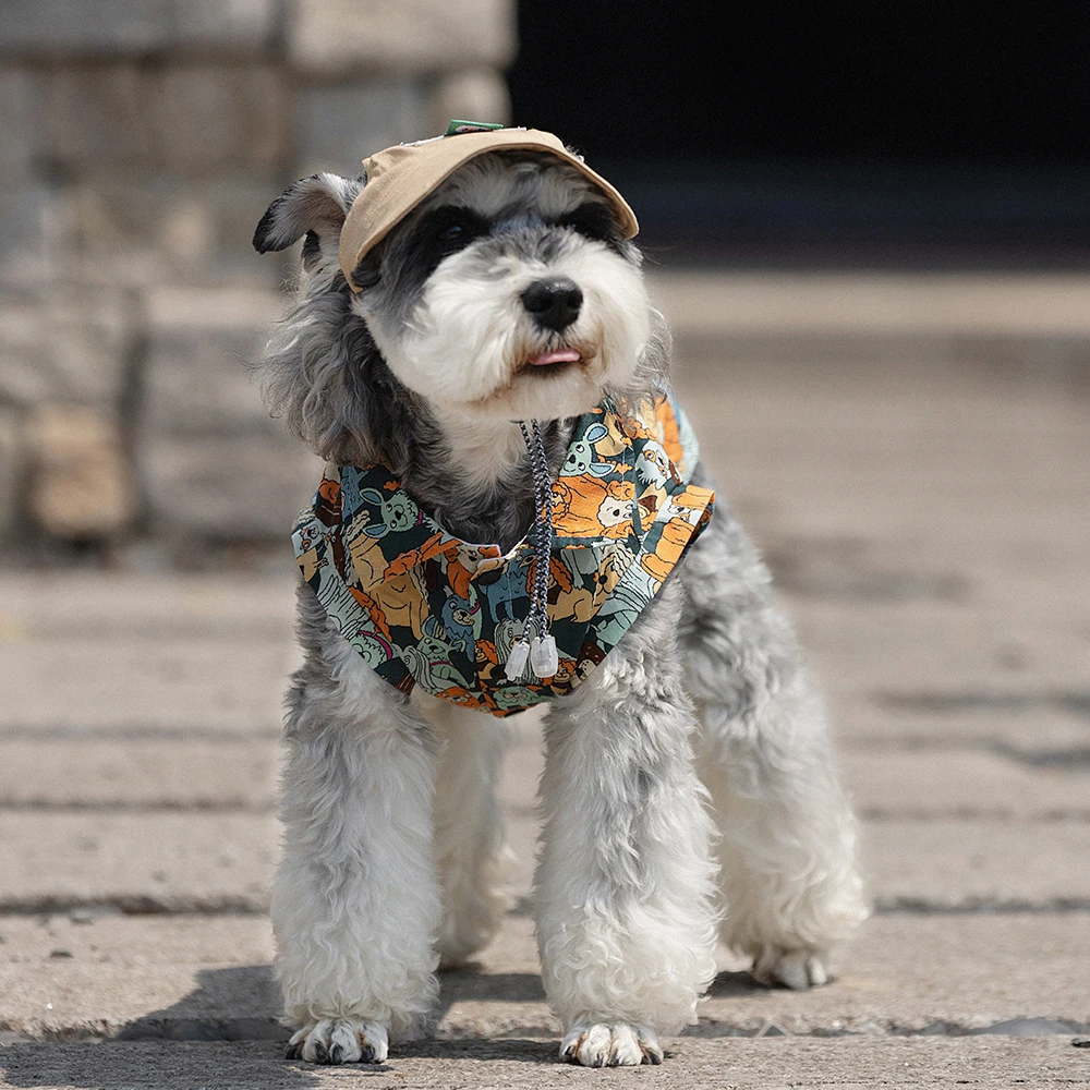 Perro modelo con camiseta hawaiana ABQP