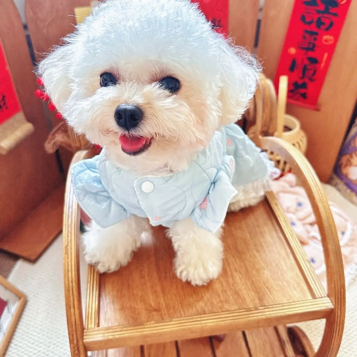 Vestido puppy invierno